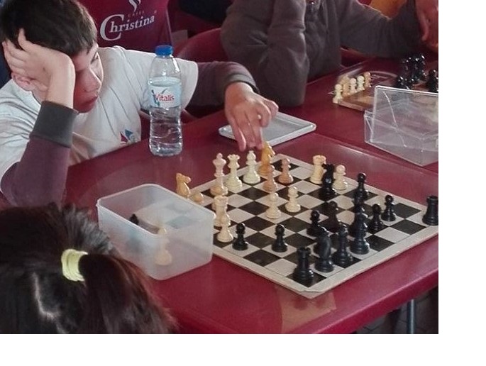 Considerações preliminares sobre a importância do xadrez no