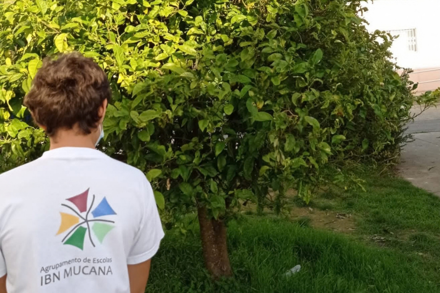 ecoescola